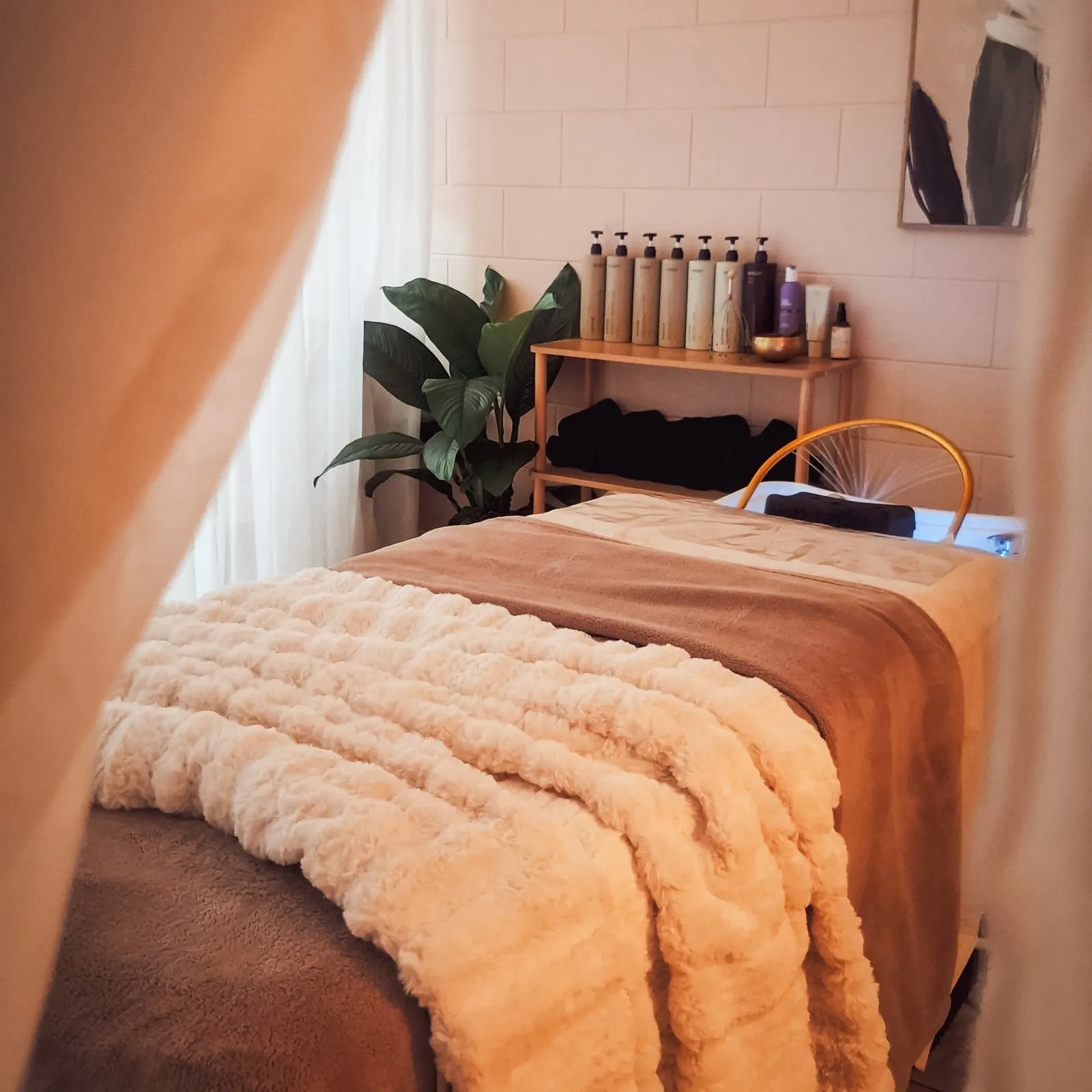 The Halo treatment room: a plant, a shelf of hair care products and a basin chair in soft light